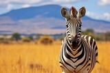 Majestic zebra safari. Thrilling adventure with copy space and breathtaking natural beauty