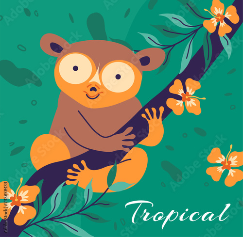 Tropical tarsier, Asia nocturnal arboreal creature