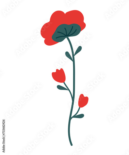 One red flower with leaves and unopened buds on a long stem. Vector, botanical illustration of poppy, suitable for icons, frame design, holiday illustrations