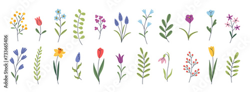 Botanical set of wild and garden flowers. Blooming season. Tulip, daffodil, crocus, muscari, snowdrop. Hand drawn floral elements. Vector illustration for greeting card, invitation, poster, banner.