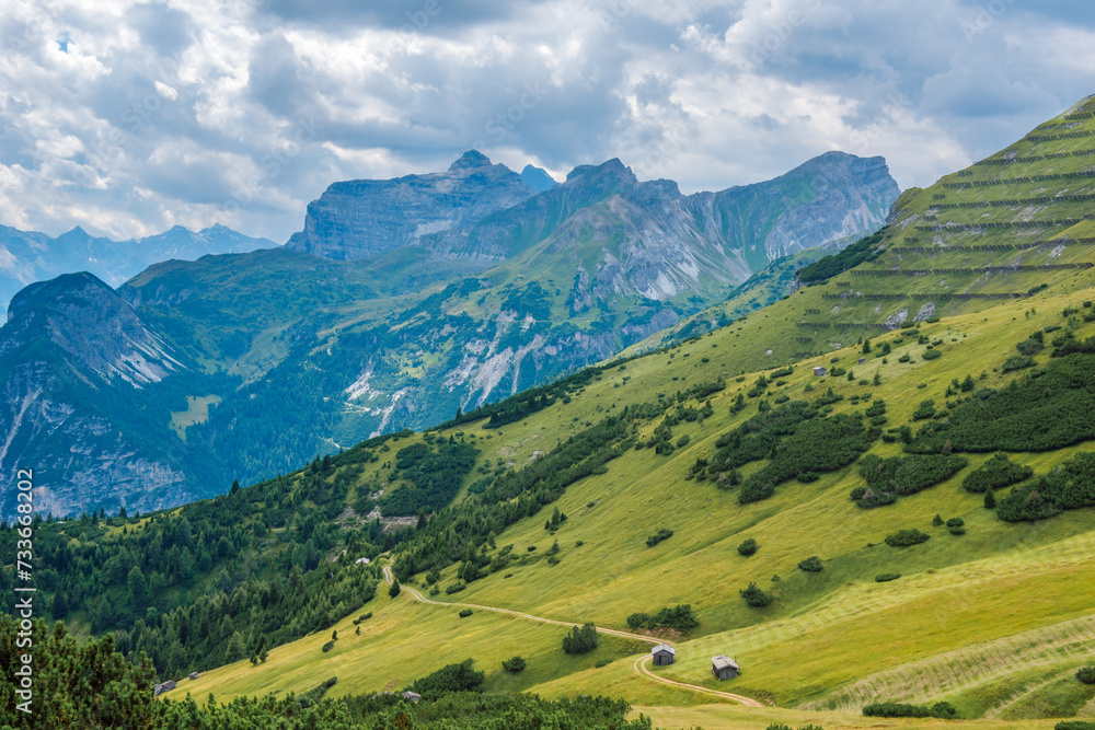 Mountains and grassland, Stubai Alps in summer, Tyrol, Austria.