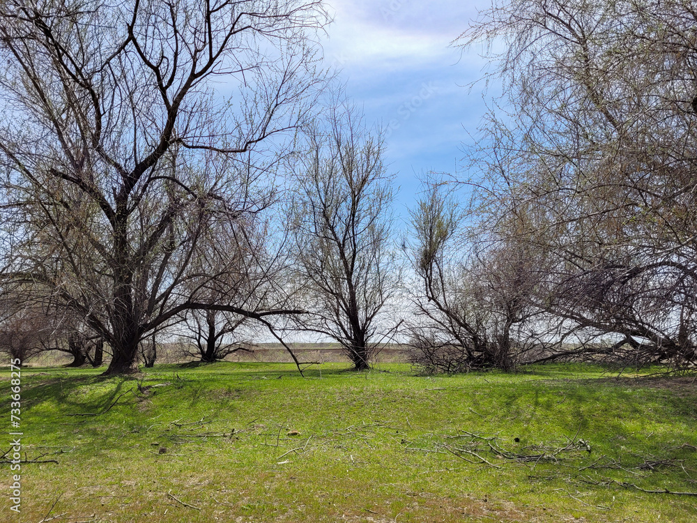 The landscape of wild nature is an incredible freedom, a deep feeling of unity with the world and the planet.