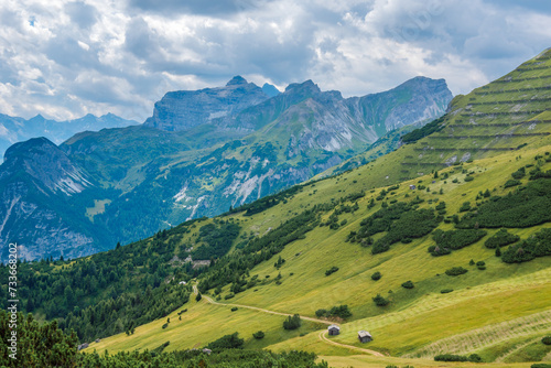 Mountains and grassland  Stubai Alps in summer  Tyrol  Austria.