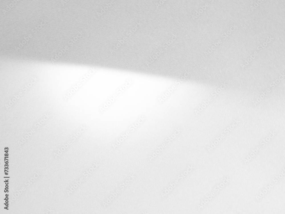 shadow Background Wall Light White Abstract Overlay Plant Backdorp Sunlight Mockup Minimal Gray Summer Black Photography Floor blur Cement Grey Minimal Product Beauty Cosmetic Presentation Template.