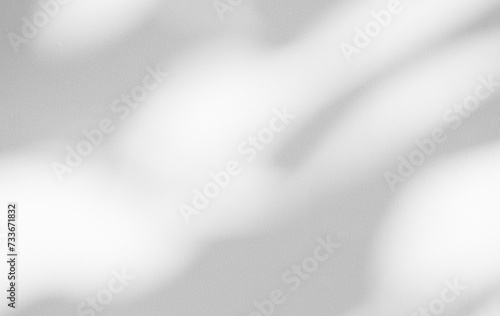 shadow Background Wall Light White Abstract Overlay Plant Backdorp Sunlight Mockup Minimal Gray Summer Black Photography Floor blur Cement Grey Minimal Product Beauty Cosmetic Presentation Template.