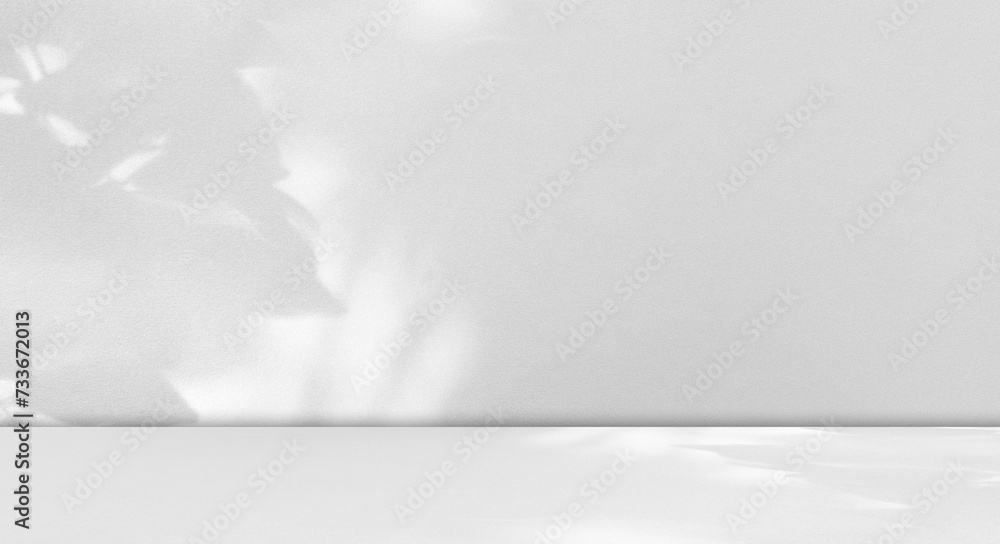 Background Floor Shadow Wall Kitchen Concrete White Texture Light Texture Abstract Mockup Product Marble Room Studio Display Plant Cement 3d Bg Minimal Shelft Bar Silhouette Leaves Backdrop Vintage. Background Floor Shadow Wall Kitchen Concrete White Texture Light Texture Abstract Mockup Product Marble Room Studio Display Plant Cement 3d Bg Minimal Shelft Bar Silhouette Leaves Backdrop Vintage.