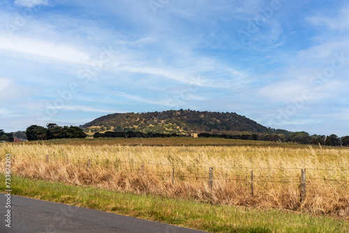 View of Mt Schank photo