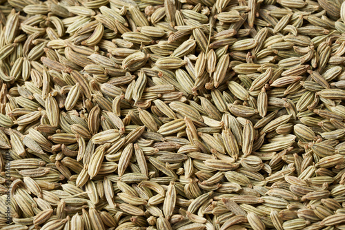 Photos dry fennel seed sounf food background texture closeup