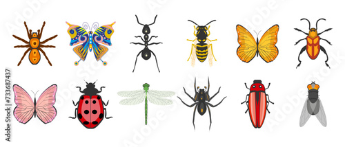 Insect set, butterfly, ant, dragonfly, wasp, ladybug, beetle, spider. Zoological icons, templates, decor elements, vector © Tatiana