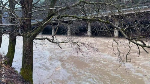 Ukraine, Carpathians, Transcarpathia, severe flooding in the mountains in winter after rains, a mass of water flows into the valleys, a tree branch falls into the water and endlessly plays with the mo photo