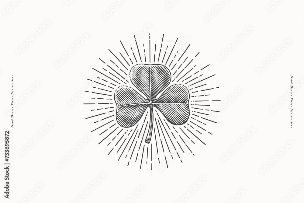 Trefoil clover in shining rays. St. Patrick's holiday element in engraving style. Vector illustration a light background. Three leaf leaf is a symbol of independence and freedom.