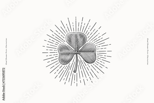 Trefoil clover in shining rays. St. Patrick's holiday element in engraving style. Vector illustration a light background. Three leaf leaf is a symbol of independence and freedom.