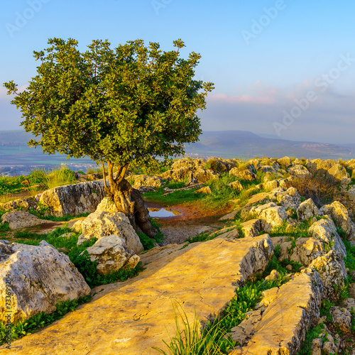 Landscape of Mount Arbel National Park