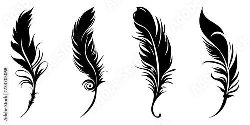 Black fluffy feather. Hand drawing vintage art realistic quill feathers for pen detailed isolated vector elegant silhouette sketch bird plume set