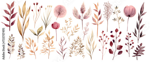 Elegant watercolor collection of botanical elements with flowers and leaves