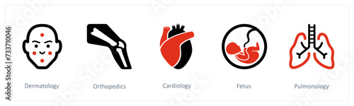 Dermatology, Orthopedics, Cardiology