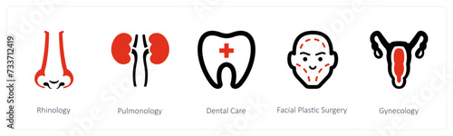 Rhinology, Pulmonology, Dental Care