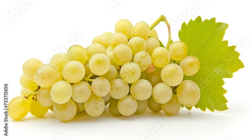 A bunch of fresh white grapes with green leaf on a white isolated background. Can be used as a banner for a website selling different varieties of grapes, wine or juice packaging.