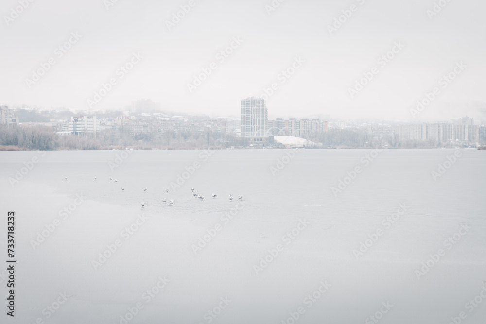Winter landscape. Blur the background. City daytime snow. Cold weather. Birds are walking. Picturesque view. Ukrainian city during the war.
Winter landscape. Blur the background. City daytime snow. Cold weather. Birds are walking. Picturesque view. Ukrainian city during the war.