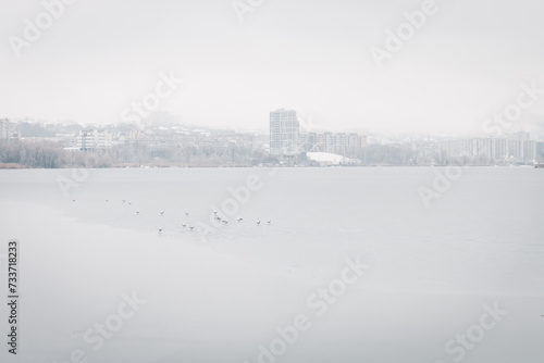  Winter landscape. Blur the background. City daytime snow. Cold weather. Birds are walking. Picturesque view. Ukrainian city during the war. © Sergey