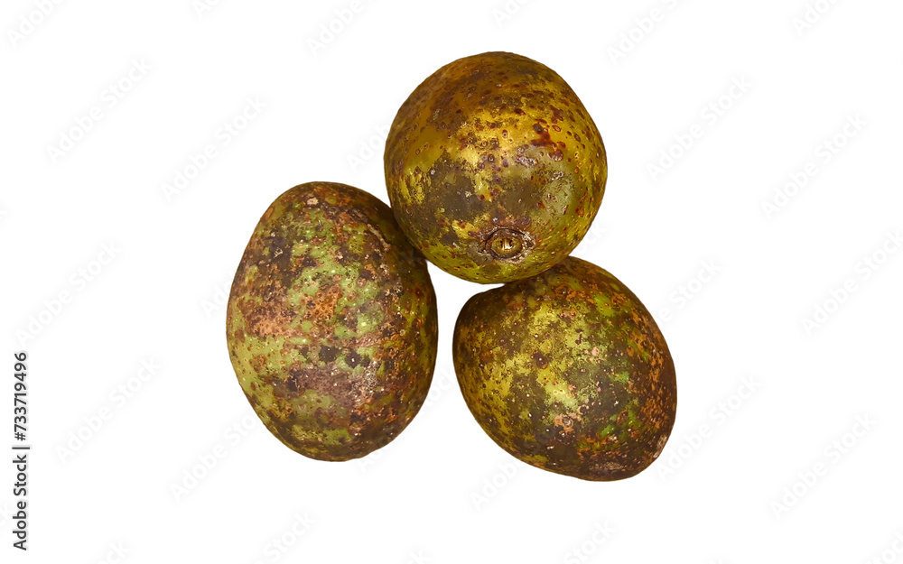 Olives/wild olives (Hog plum) fruit used in cooking such as Samtam Thai, Isaan Olives/wild olives (Hog plum) fruit used in cooking such as Samtam Thai, Isaan