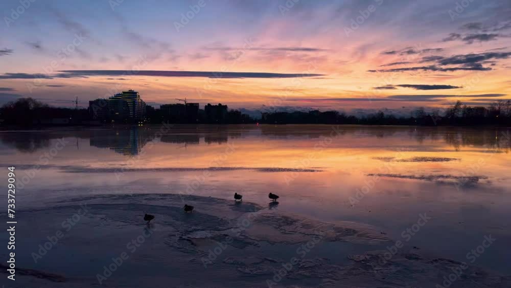 beautiful, ukraine, ivano-frankyvsk, winter, ice, ducks, birds, seagulls, sunset, dawn, fly, dramatic, cityscape, tower, sky, reflection, autumn, colorful, sunrise, tourism, sun, europe, evening, natu beautiful, ukraine, ivano-frankyvsk, winter, ice, ducks, birds, seagulls, sunset, dawn, fly, dramatic, cityscape, tower, sky, reflection, autumn, colorful, sunrise, tourism, sun, europe, evening, natu