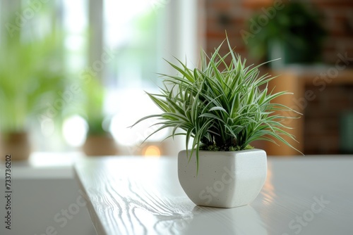 A flowerpot with aritifical houstplant is placed on white table at cafe restaurant that decorated as the minimal style. Interior decoration object photo. Selective focus.