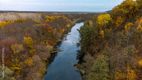 Autumn aerial river and golden trees forest landscape with grey sky. Flying above riverside in Ukraine