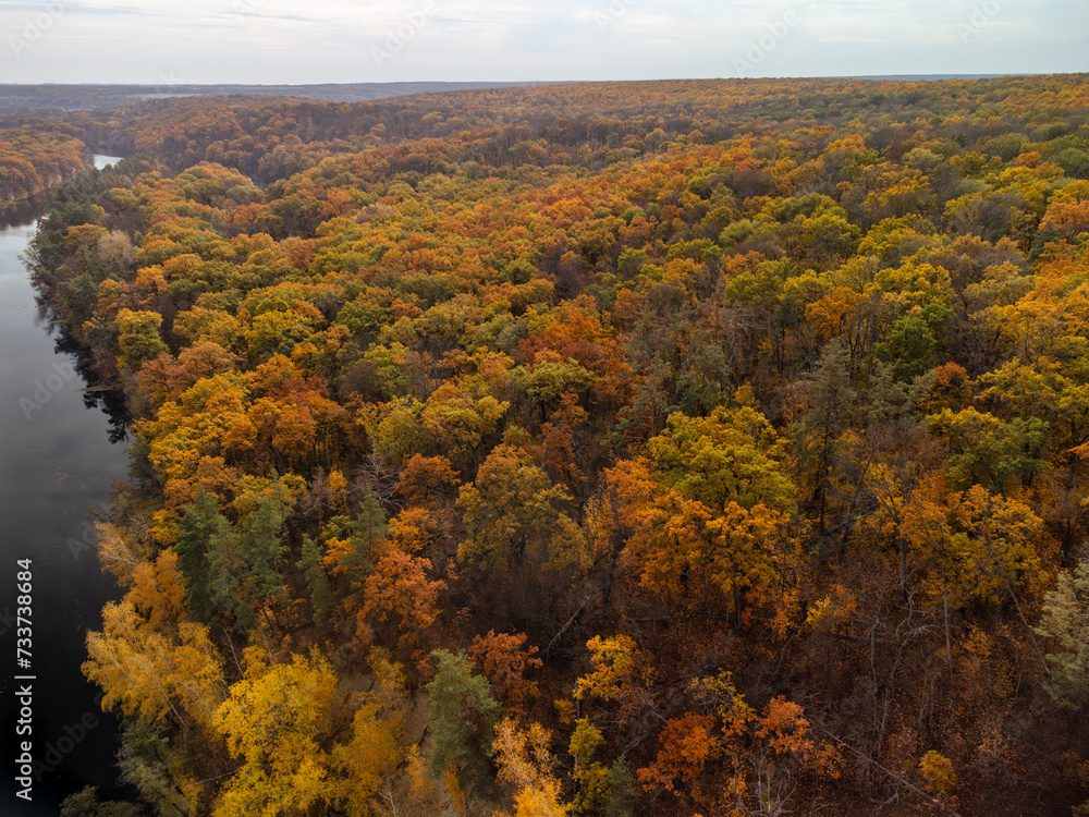 Autumn aerial on golden yellow forest. Autumnal vibrant trees near rural riverside in Ukraine