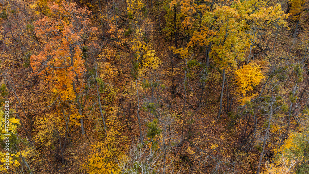 Autumn aerial look down view on golden trees. Autumnal vibrant forest scenery Autumn aerial look down view on golden trees. Autumnal vibrant forest scenery