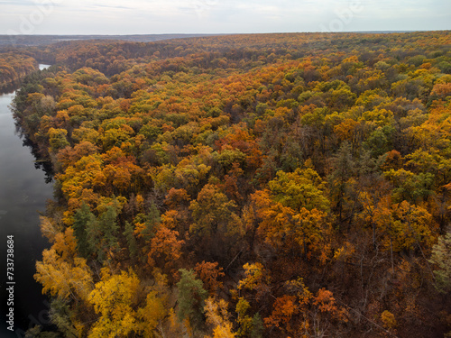 Autumn aerial on golden yellow forest. Autumnal vibrant trees near rural riverside in Ukraine