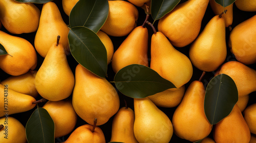 Solid background filled with juicy pears. Fruits ripe pears and foliage. Summer fruit template