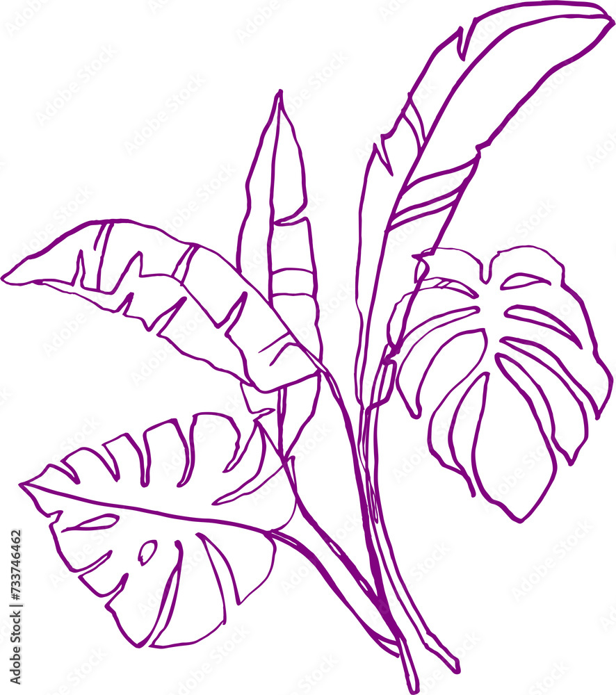 Fototapeta premium Bouquet (composition) of tropical botanical and plant elements (silhouettes, linear drawings) on a transparent background (PNG file)