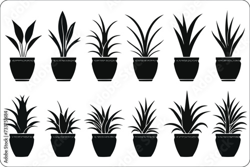 Potted plants silhouettes, Vector Home Plants,  plants in pots