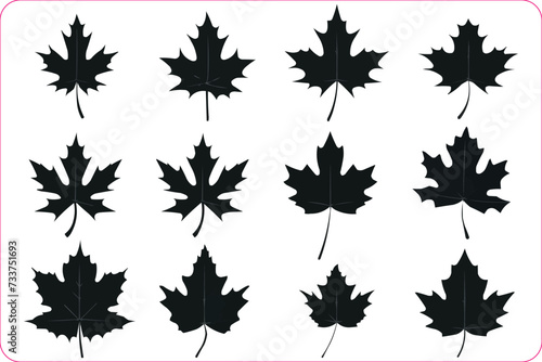 Autumn leaves silhouettes, Silhouette of the maple leaf, Silhouettes of maple leaf isolated on a white background photo
