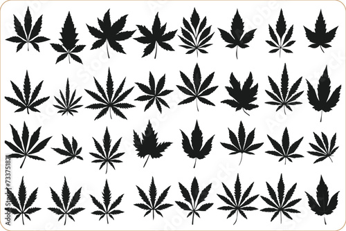 Cannabis leaf vector icon  Silhouette of Cannabis leaves  Cannabis leaf graphic icon  Cannabis vector icon