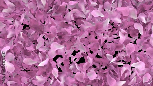 sakura petals cherry blossom petals animated transition outer inner with alpha channel 60fps 4k
