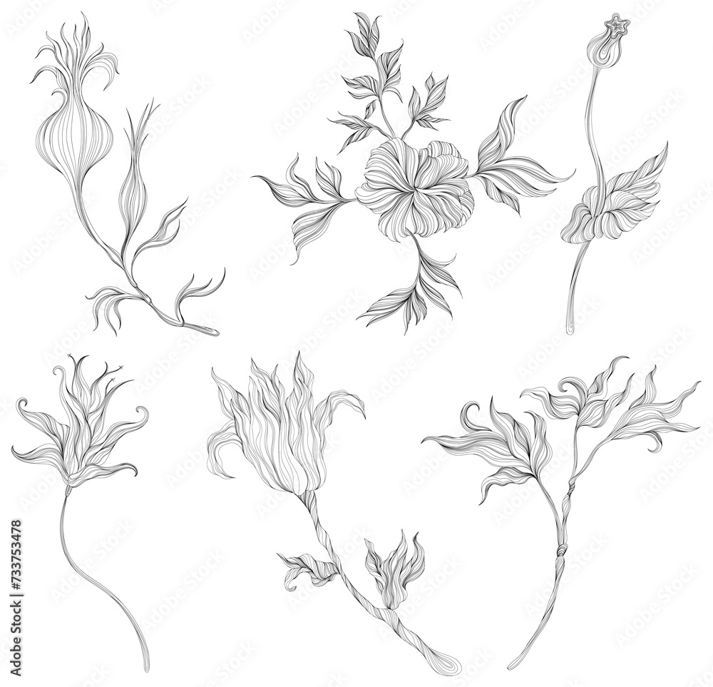 Abstract leaves and flower isolated on white set. Line ink hand drawn illustration collection. Abstract leaves and flower isolated on white set. Line ink hand drawn illustration collection.