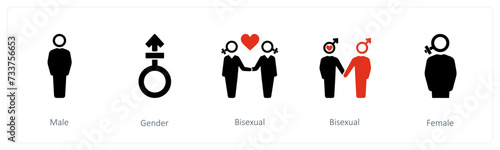 male, gender, bisexual 