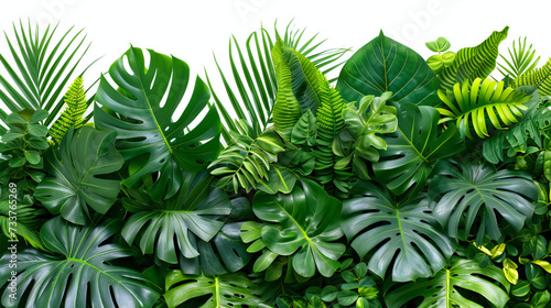 natural green fresh leaves of tropical plants bush floral arrangement indoors  garden nature backdrop isolated on white background. Generation AI