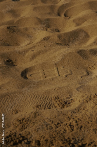 orma sulla spiaggia  photo