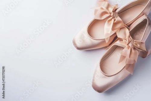 Pair of Ballet Shoes With Bow