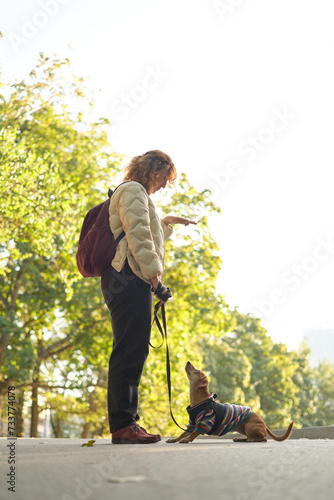 Dog training in autumn park at sunset. Happy brunette caucasian woman in casual clothes feeding her concentrated dachshund puppy outdoor. High quality vertical photo