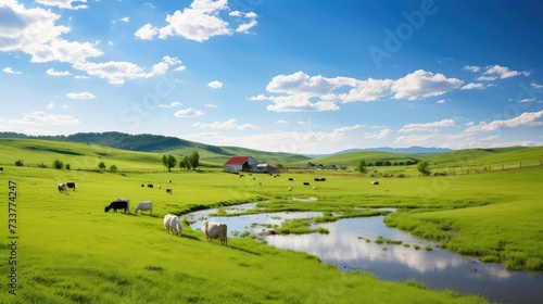 animals farm pasture