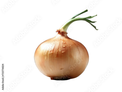 White background showcases isolated onion, a fresh and organic vegetable, with yellow, ripe bulbs, a key ingredient for healthy, vegetarian cooking