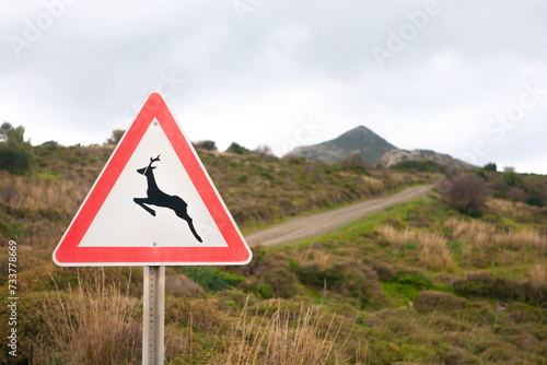 Deer may appear signboard in village road.
