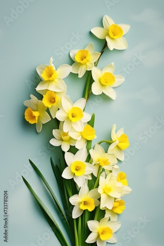 Bright Yellow Daffodils Against Blue