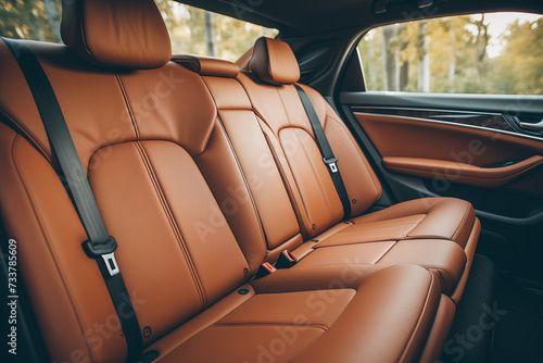 rear seats in the interior of a car