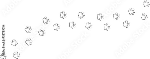 Paw print trail on white background. Vector cat or dog, pawprint walk line path pattern background.