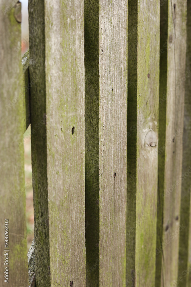 Wooden fence in the garden, close-up, selective focus Wooden fence in the garden, close-up, selective focus